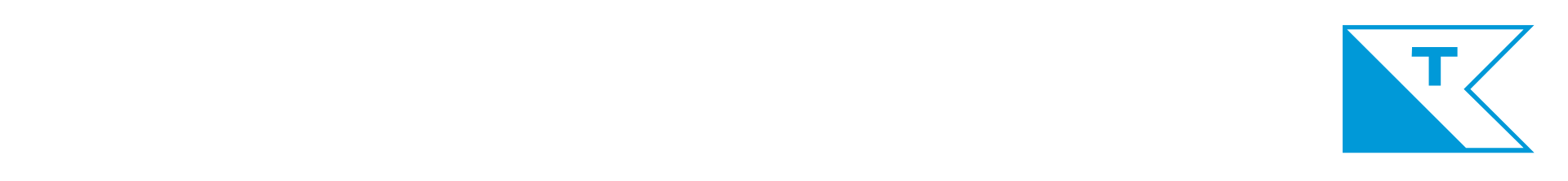 TSCHUDI logo